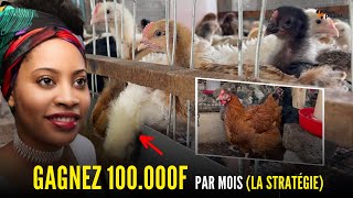 LA NOUVELLE STRATEGIE pour GAGNER 100000F par MOIS avec LELEVAGE DU POULET LOCAL en AFRIQUE [upl. by Renie]