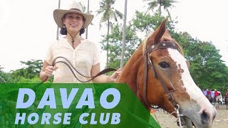 Davao Horse Show amp Competition │ Celina [upl. by Aneetsirk]