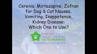 Cerenia Mirtazapine Zofran Dog amp Cat Nausea Vomiting Inappetence Kidney Disease Which to Use [upl. by Irual]