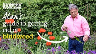 Alans guide to getting rid of BINDWEED without using chemicals [upl. by Uwkuhceki]