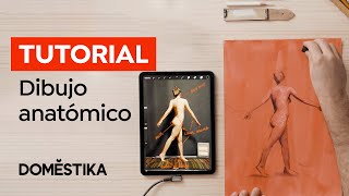 Tutorial Dibujo Anatómico la figura humana paso a paso  Pau Marinello  Domestika [upl. by Caressa]