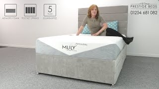 Mlily Harmony Ortho Mattress Review [upl. by Anana]