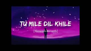 Tum mile Dil khile slow reverb [upl. by Macy]