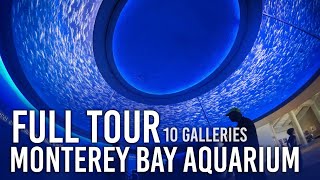 Zoo Tours Monterey Bay Aquarium  FULL TOUR [upl. by Adolpho]