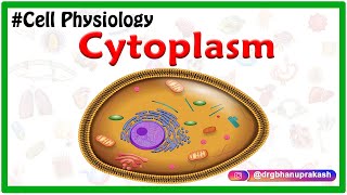 Cytoplasm  USMLE Cell Physiology Animations [upl. by Matta394]