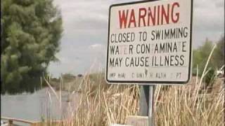 Colorado River Is Invaded By Arundo Donax 2009nbcmp4 [upl. by Fulks]