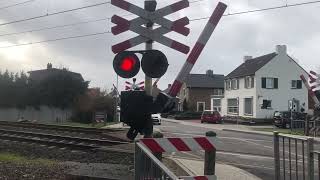 Spoorwegovergang Nieuwstadt  Dutch Railroad Crossing [upl. by Akihc335]