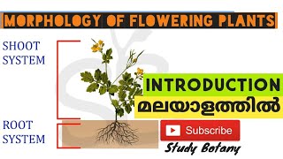 MORPHOLOGY OF FLOWERING PLANTS INTRODUCTION PART1 PLUS ONE BIOLOGY CHAPTER5 MALAYALATHIL NCERT [upl. by Daigle]