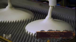 Talalay Global The Talalay Manufacturing Process [upl. by Palmira]