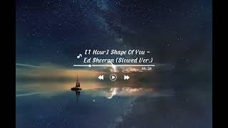 1 Hour  Shape of You  Ed Sheeran  Slowed  Reverb [upl. by Litha848]