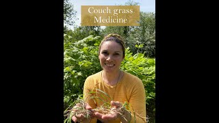 Cough Grass as a Medicine from the Ivywood Garden [upl. by Aloysia]