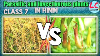 Parasitic and Insectivorous plants  Science  Class 7  in Hindi [upl. by Arahahs]