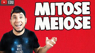 MITOSE E MEIOSE │Prof Patrick Gomes [upl. by Raji649]