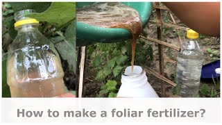 How to make a foliar fertilizer  Lets go organic  The Millennial Farmer PH [upl. by Tiphani12]