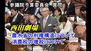 西田昌司「参議院予算委員会 質問 201244」【西田劇場】農水省の利権構造について・消費税の増税について [upl. by Eceerehs]