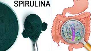 SPIRULINA AMAZING POWER [upl. by Doscher835]