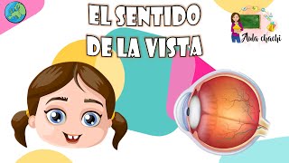 El sentido de la vista  Aula chachi  Vídeos educativos para niños [upl. by Naut518]