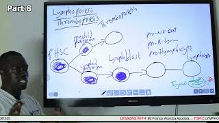 Lymphopoiesis and Thrombopiesis Part 8 [upl. by Adalie]