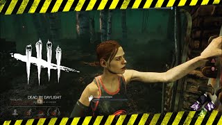 Komisches Team SWF Dead by Daylight DbD [upl. by Suoirrad617]