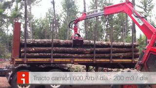 Proceso de aprovechamiento Forestal en REFOCOSTA SAS  Proyecto Sicim Colombia [upl. by Zzabahs145]