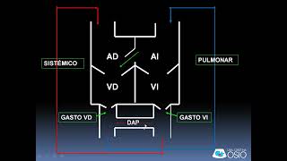 quotDuctus Arterioso Permeable y foramen ovalquot [upl. by Ruff]