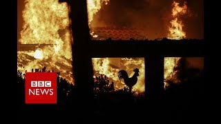 Greece wildfires 60 dead in holiday area  BBC News [upl. by Gnanmos711]