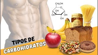 💥Clasificación de los Carbohidratos  Curso de nutrición introducción a una dieta saludable [upl. by Freeborn]