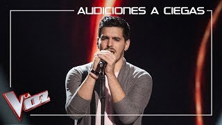 Fran Arenas canta Siendo uno mismo  Audiciones a ciegas  La Voz Antena 3 2019 [upl. by Malamud]