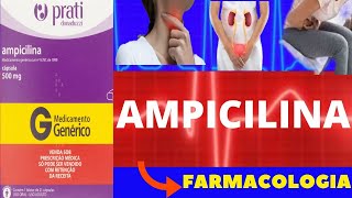 AMPICILINA  PARA QUE SERVE COMO TOMAR COMO FUNCIONA EFEITOS COLATERAIS  ANTIBIÓTICO [upl. by Aznarepse]