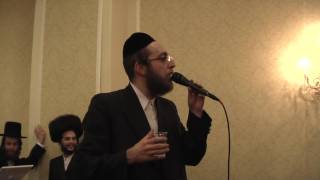 Arele Samet Singing at a Wedding [upl. by Enerual]