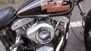 1984 FXSB HARLEY DAVIDSON SHOVELHEAD [upl. by Henrieta779]