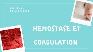 UE 22 Hémostase et coagulation  Tout comprendre en 3 min [upl. by Alleinnad]