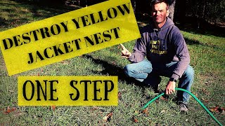 How To Get Rid Of Yellow Jacket  Ground Wasp Nest With ONE STEP [upl. by Ellenehs]