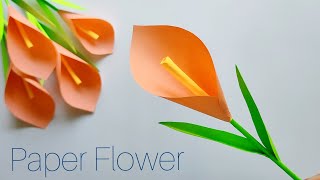 Easy Paper Flower  Paper Tulip Flower  Paper Craft [upl. by Aitnuahs]