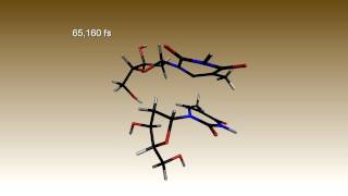 Repair of cyclobutane thymine dimer [upl. by Tteraj]