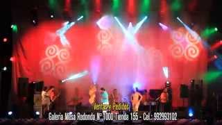 Mateo Palomares  La Pollada  Concierto 2014  Full HD [upl. by Koffman]