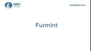 How to say it Furmint [upl. by Melonie331]