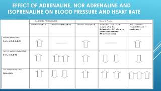 Effect of Adrenaline Nor Adrenaline amp Isoprenaline on Blood Pressure amp Heart Rate [upl. by Anissej]