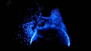 Bioluminescence Bioluminescent water [upl. by Nihahs]