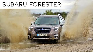 SUBARU FORESTER 2022  Review  Test Off Road  LoadingCars [upl. by Marylinda]