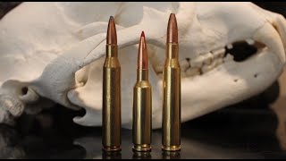 65 Creedmoor vs 270 vs 2506 The Results Might Surprise You [upl. by Swann]