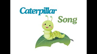 Caterpillars  Fun Facts Kids Cartoon Song  Kindergarten Nursery Rhymes  Toddlers Learning Video [upl. by Riba]