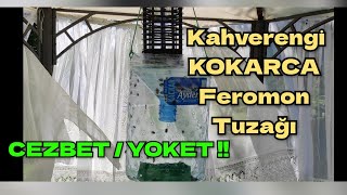 Kahverengi Kokarca Feromon Tuzağı ve Biyosidal Ürünlerle Mücadele [upl. by Alleber]