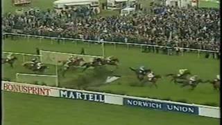 Abandoned Grand National 1993 BBC Highlights Horse Racing [upl. by Aprile]