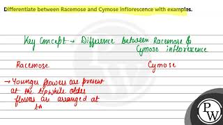 Differentiate between Racemose and Cymose inflorescence with examples [upl. by Ramad312]