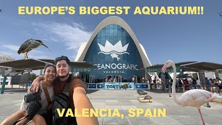 Oceanographic Valencia  The largest aquarium in Europe  Valencia Spain Oceanographic 2022 [upl. by Antonella]