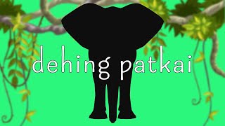 Dehing Patkai  Heavy Budget [upl. by Olivette688]