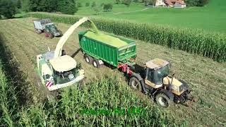 Maishäckseln 2024 Teil 1 LU Biggel mit Krone Big X700 JCB Fendt Deutz 4K [upl. by Onibag]