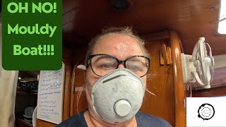 Episode 28 Oh No Mouldy Boat We Discover Mould on our Sailboat [upl. by Marino]