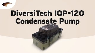 The DiversiTech IQP120 ClearVue Condensation Pump [upl. by Claretta]